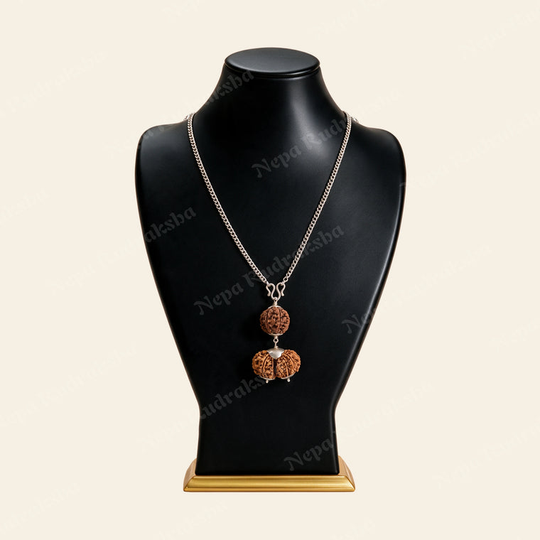 Aquarius (Kumbha) Combination