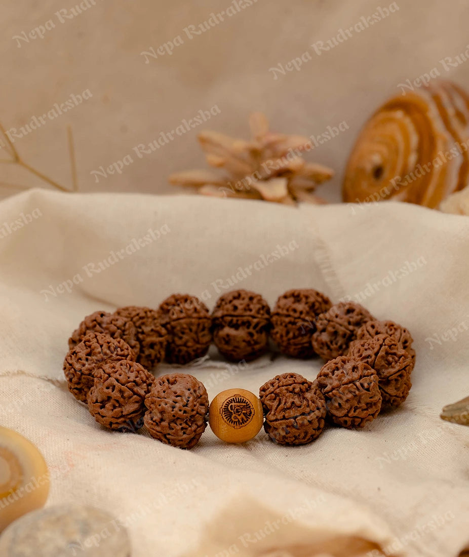 6 Mukhi Bracelet