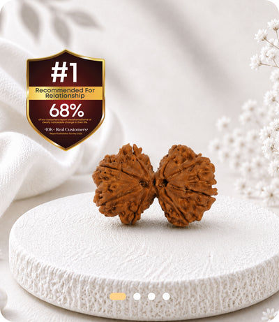 Gauri Shankar Rudraksha