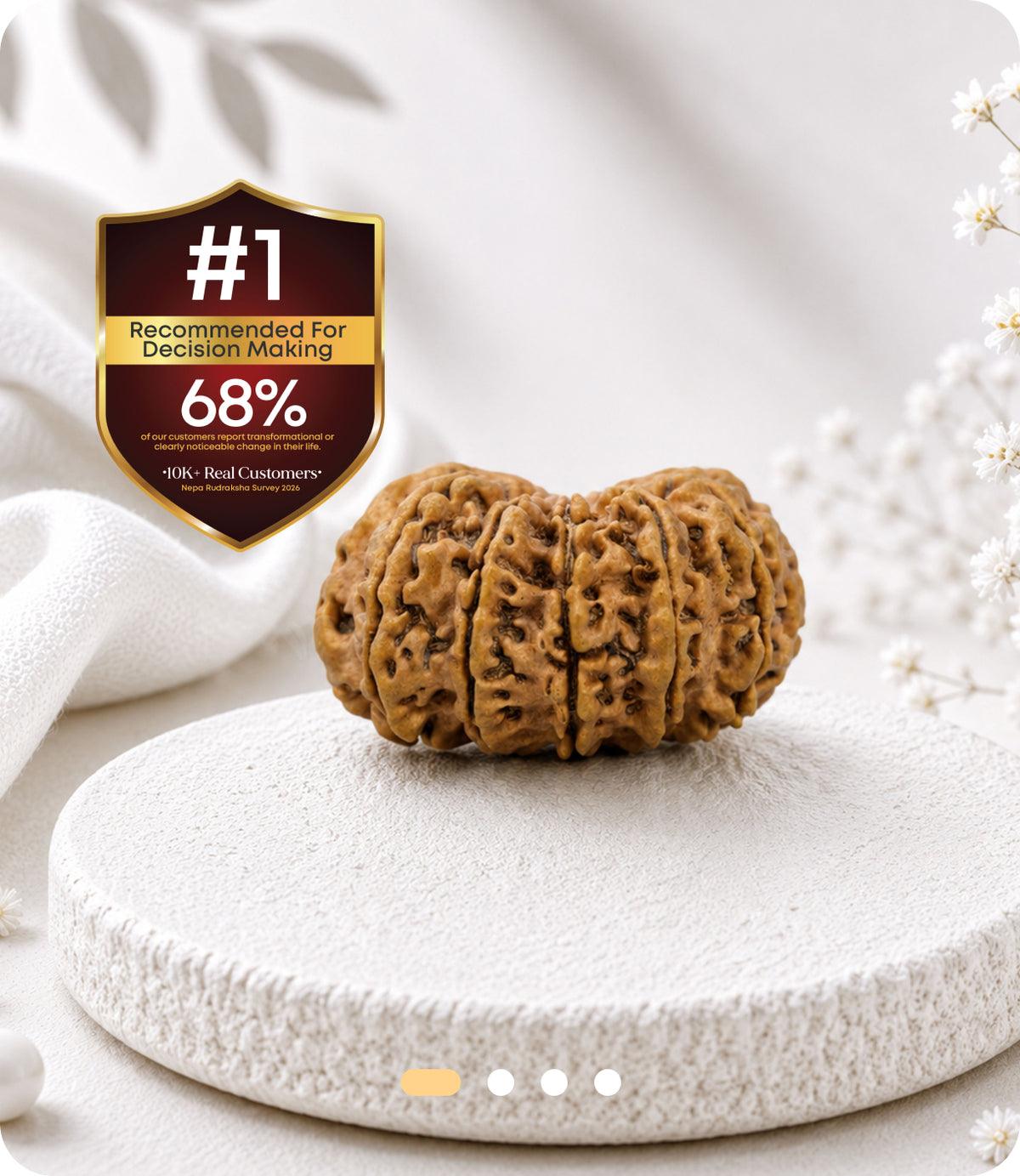 12 Mukhi (Super Collector) Rudraksha