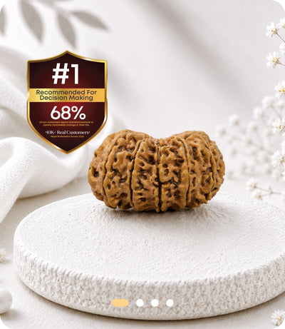 12 Mukhi Rudraksha