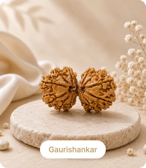Gauri Shankar Rudraksha