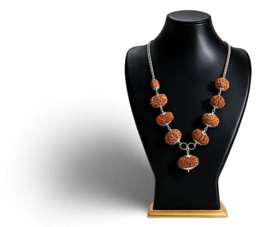 Rudraksha