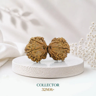 Collector