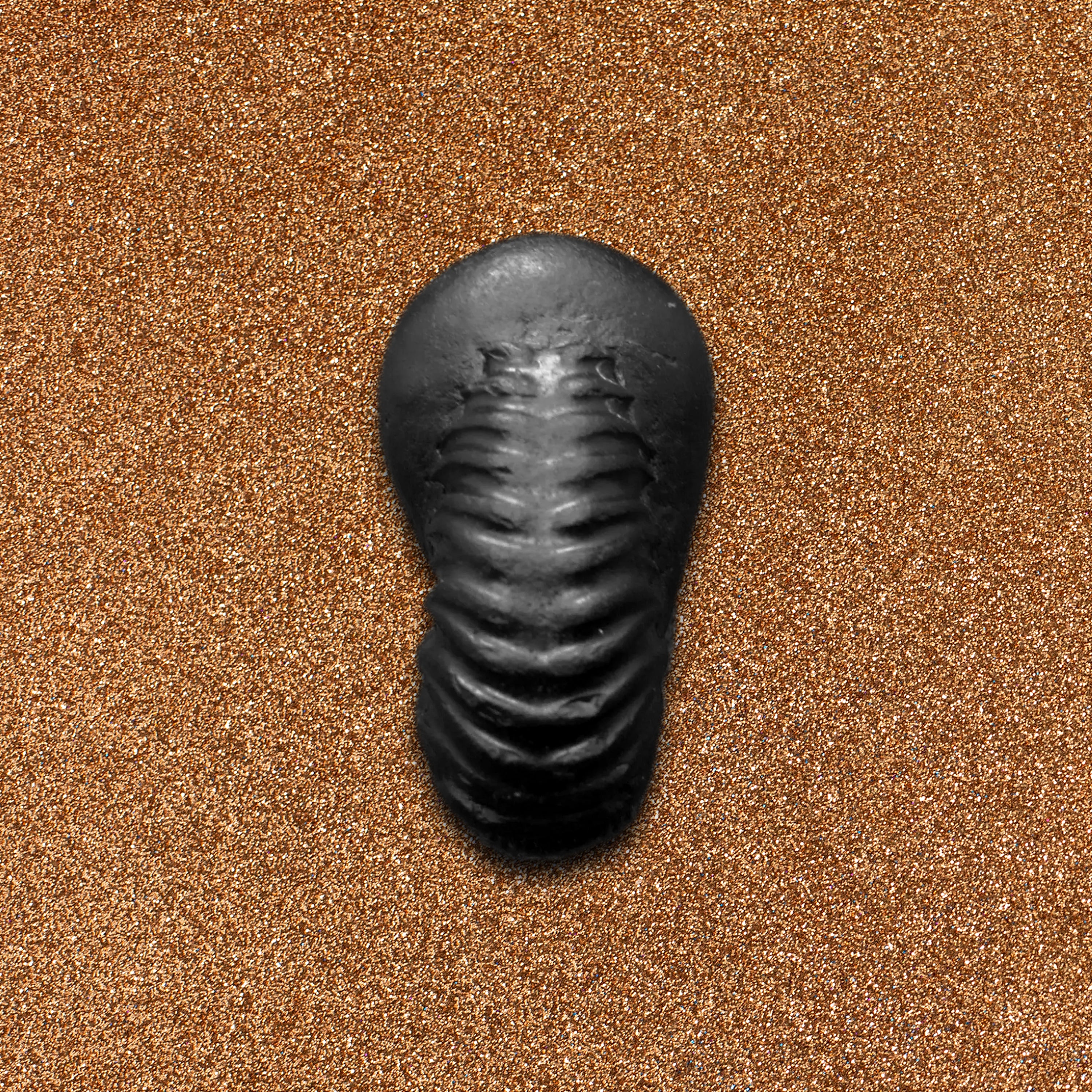 Shelligram Sea Shell Buy Original Shaligram from Nepal | Gandaki River Shaligram