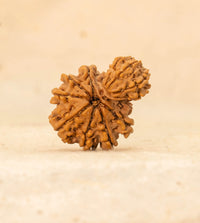 Garbha Gauri