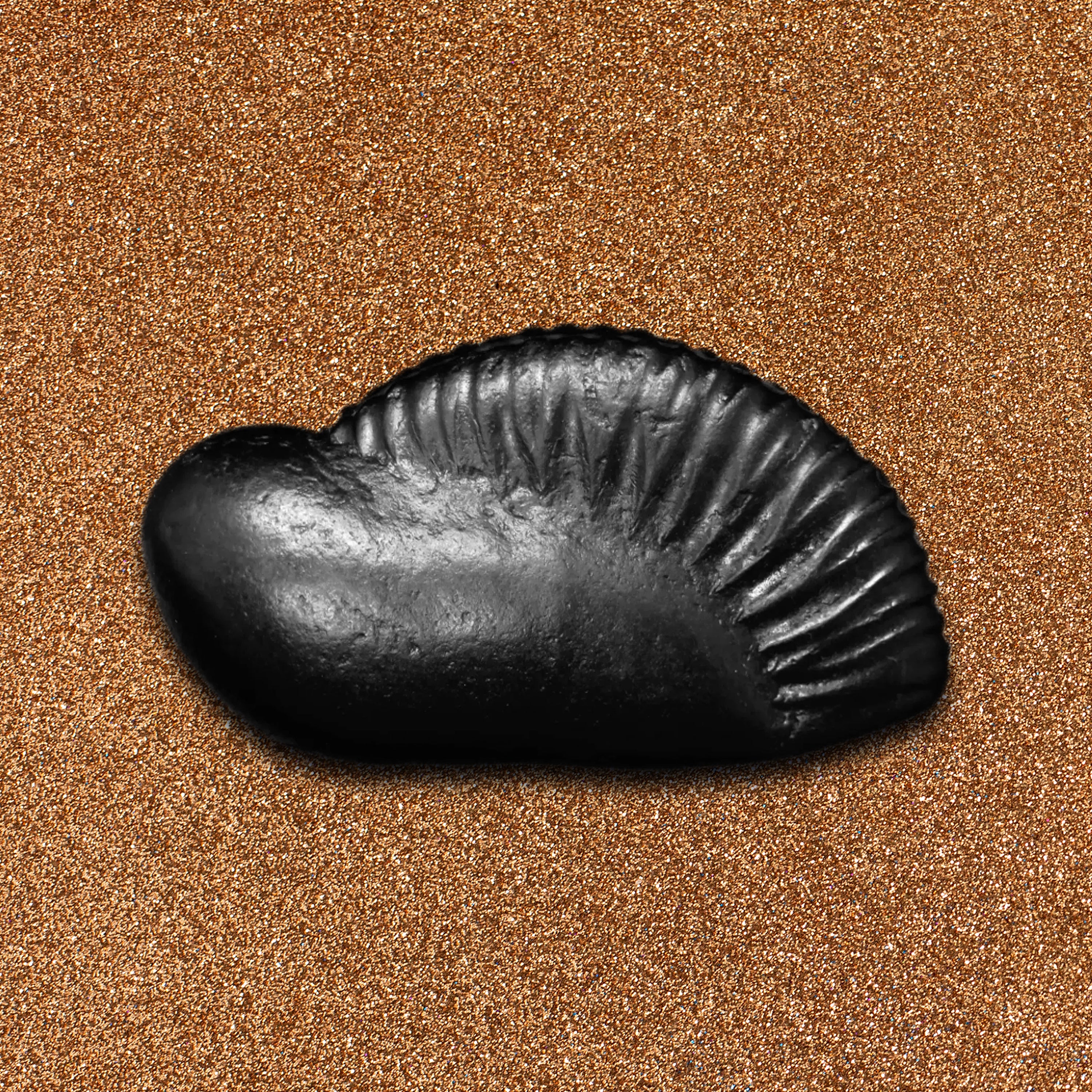 Shelligram Sea Shell Buy Original Shaligram from Nepal | Gandaki River Shaligram