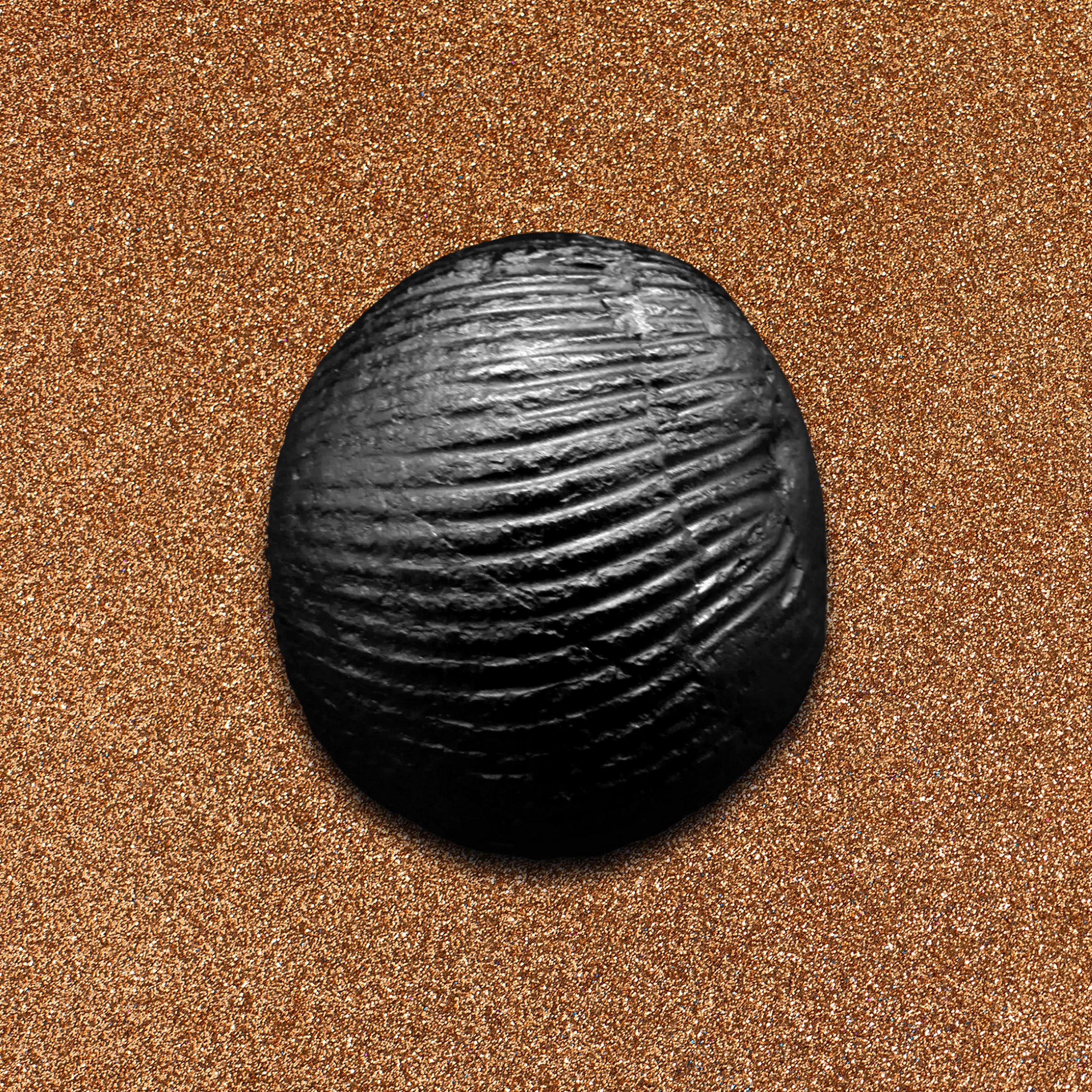 Shelligram Sea Shell Buy Original Shaligram from Nepal | Gandaki River Shaligram