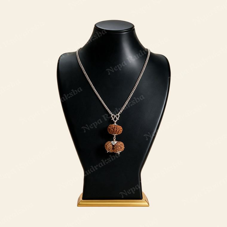 Taurus (Vrisha) Combination