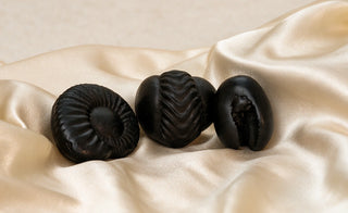 Most Worshipped Shaligrams