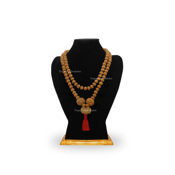 Pitri Dosh Combination