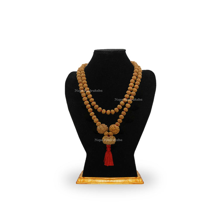 Pitri Dosh Combination
