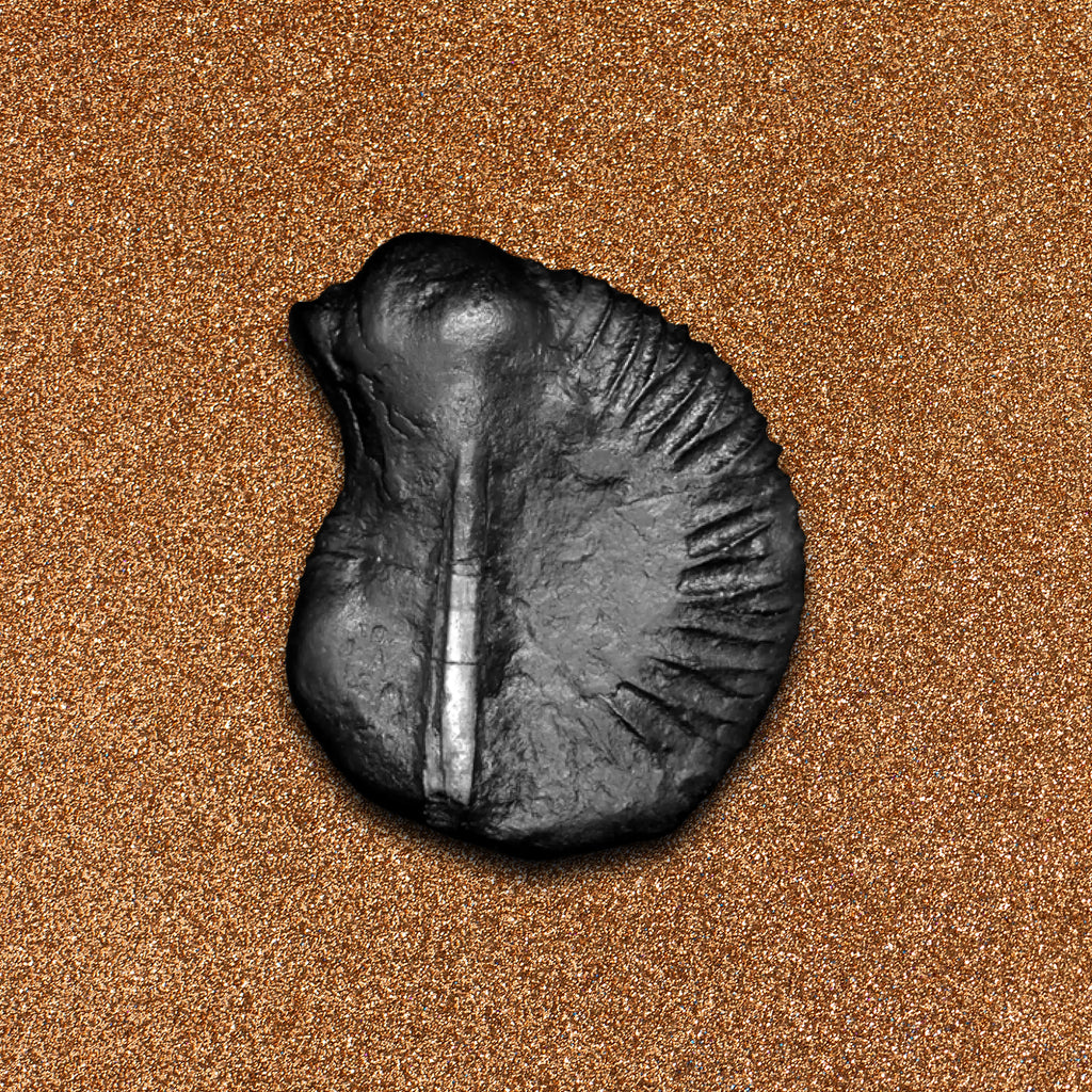 Rama Shaligram