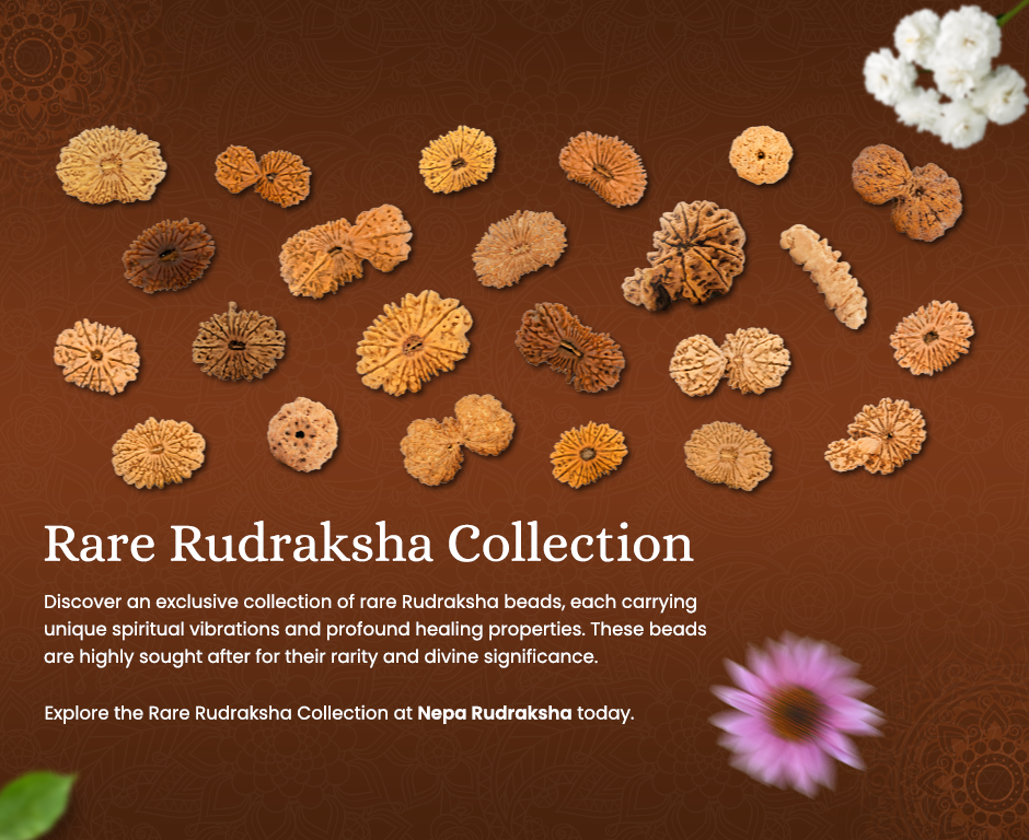 Rare Rudraksha Collection first Banner