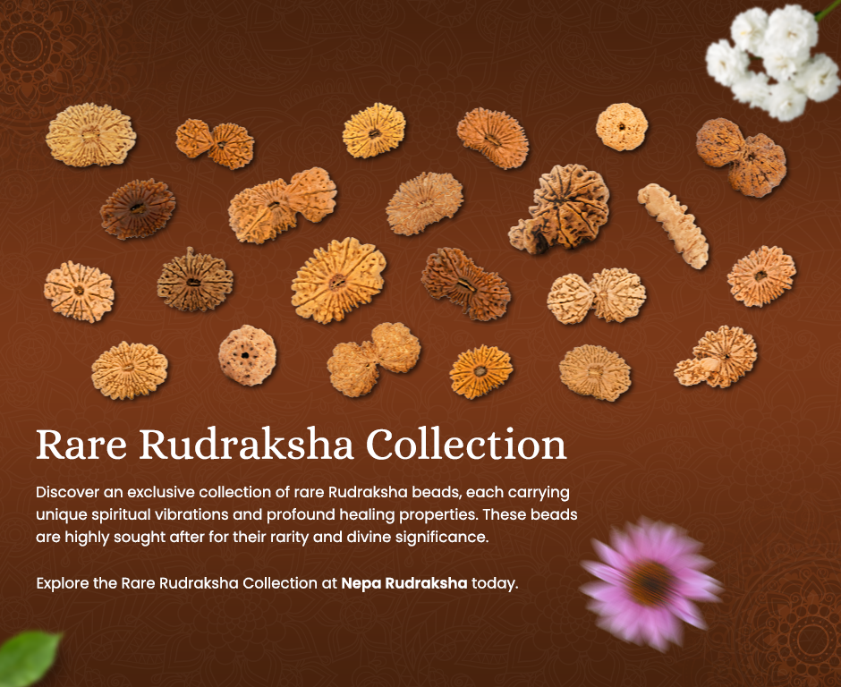 Rudraksha According to Your Rashi (Zodiac Sign)