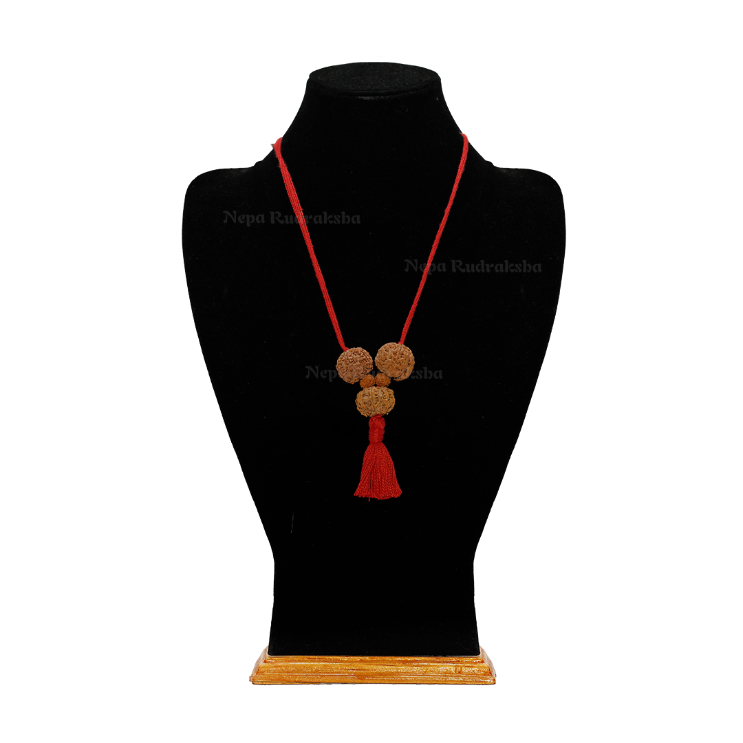 Regular / Red Thread / Free Touch Energization