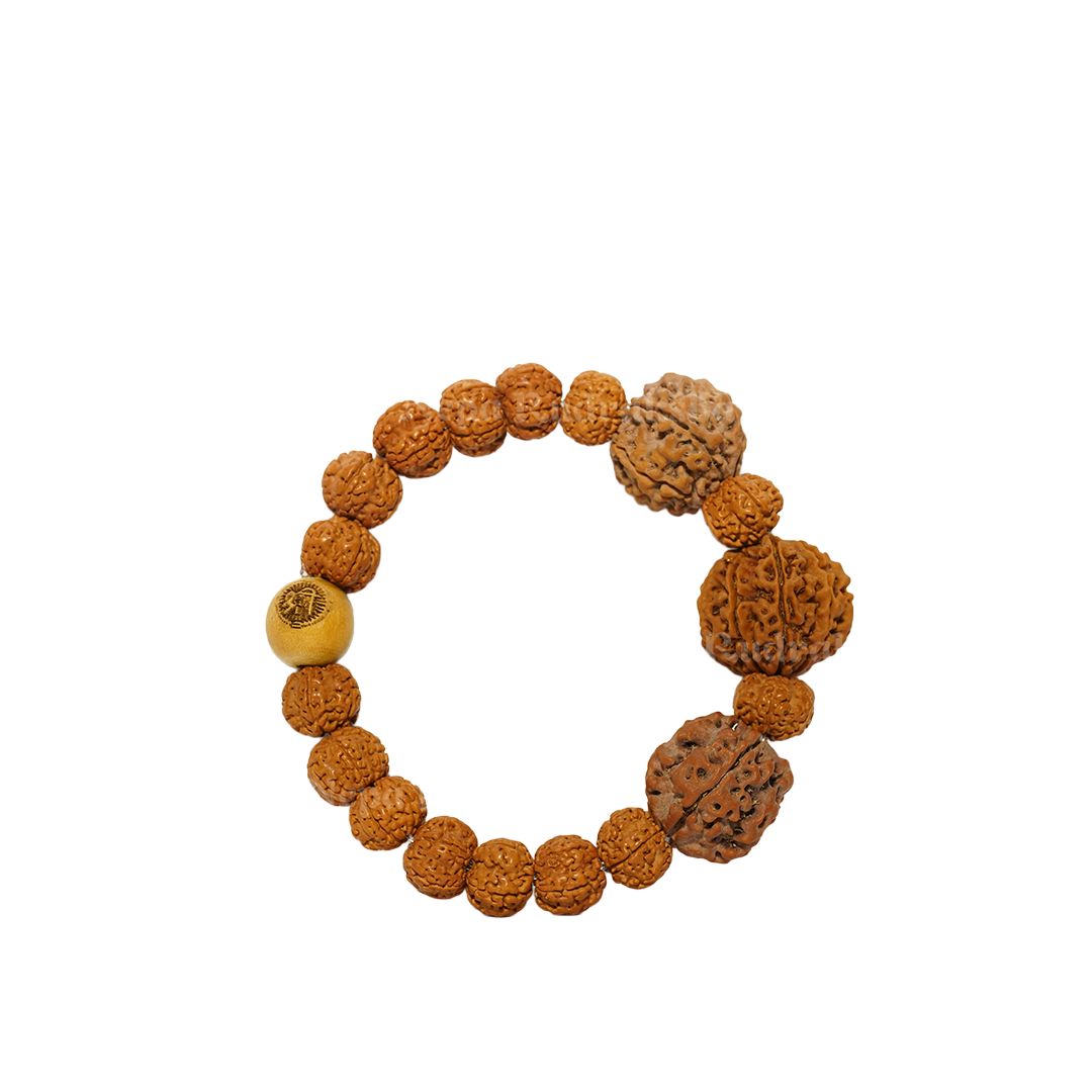 Regular / Bracelet / Free Touch Energization