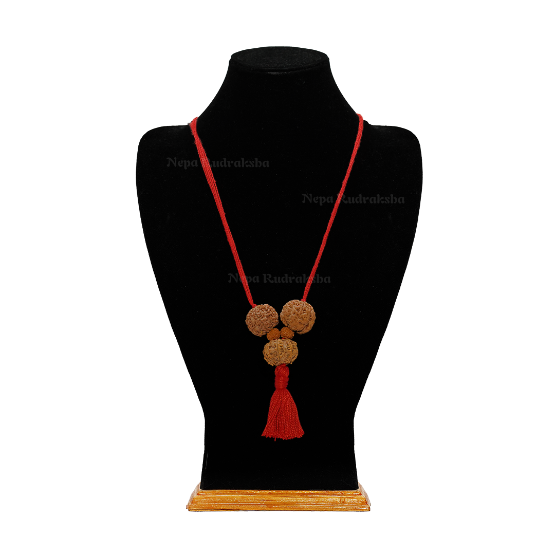 Collector / Red Thread / Free Touch Energization