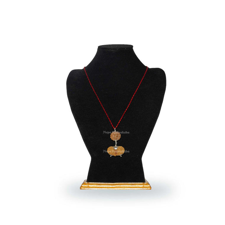 Pisces (Meena) Combination