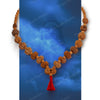 Sarva Siddha Mala