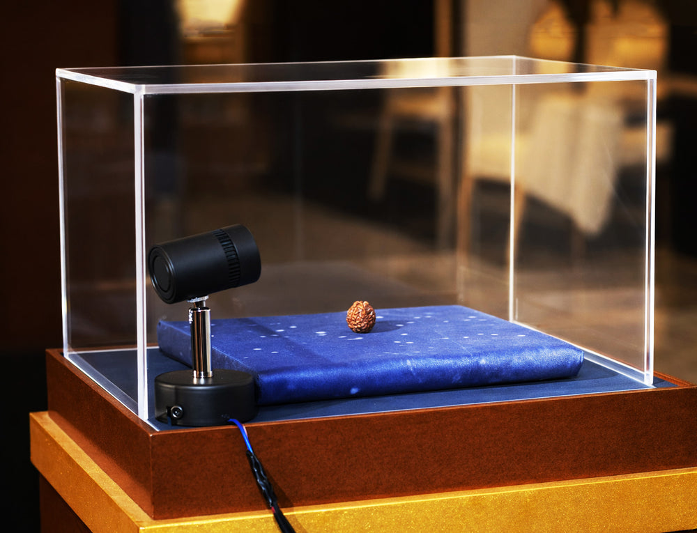 Nepali One Mukhi Rudraksha Experience