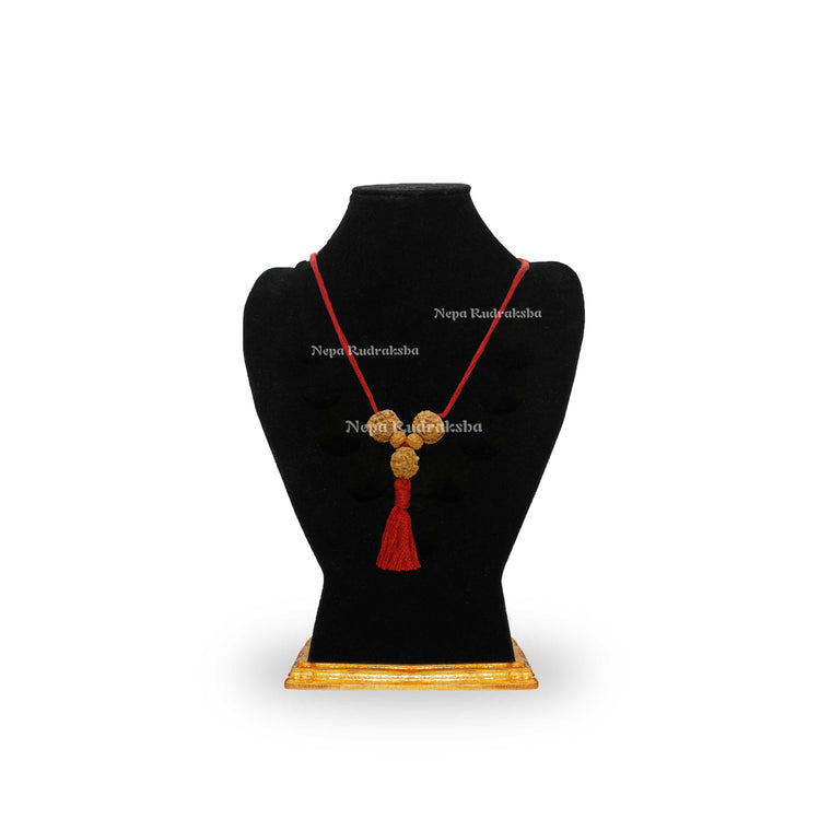 Vidyadhari Saraswati Combination (Knowledge and Wisdom)