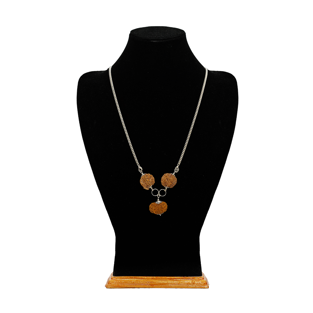 Collector / Silver Chain / Free Touch Energization