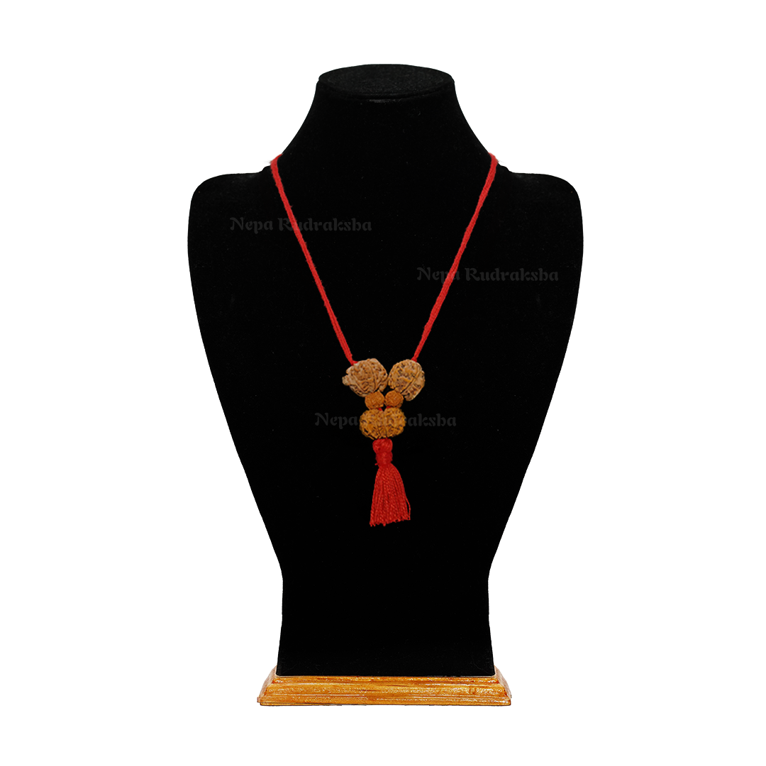 Medium / Red Thread / Free Touch Energization