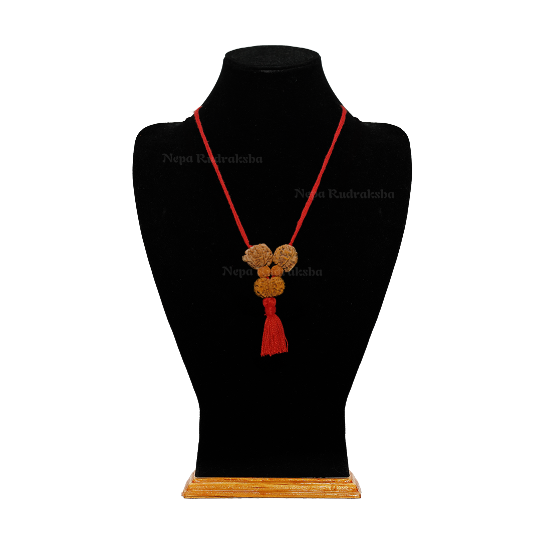 Regular / Red Thread / Free Touch Energization