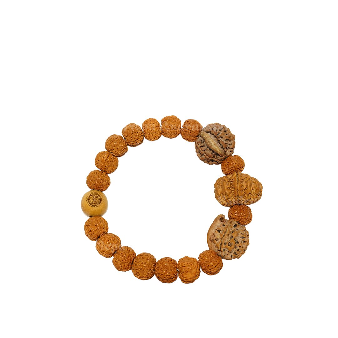 Regular / Bracelet / Free Touch Energization