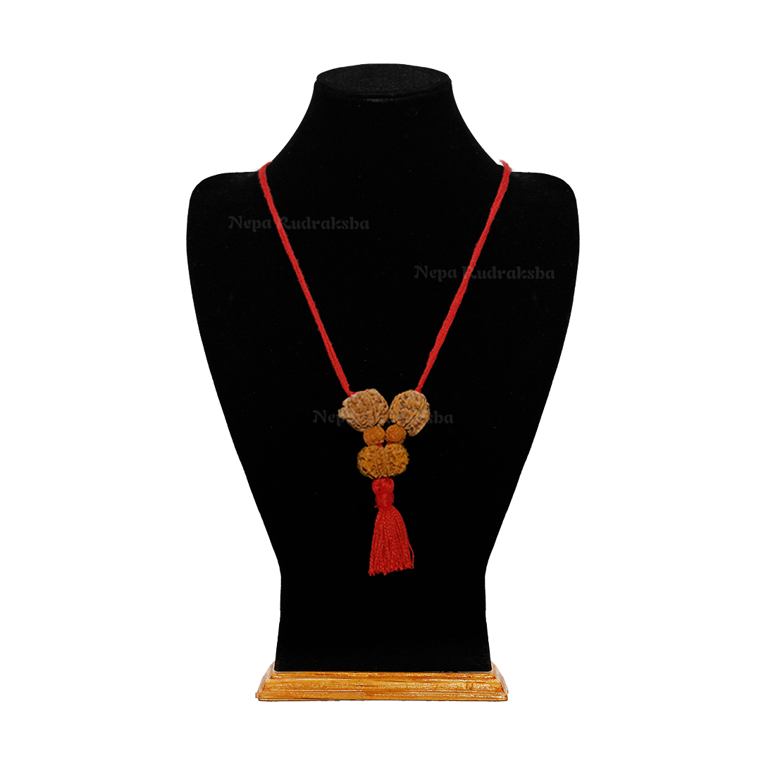 Collector / Red Thread / Free Touch Energization