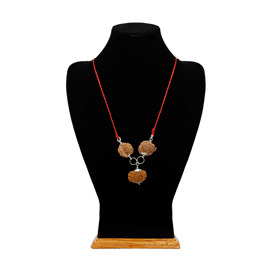 Collector / Silver Capping / Free Touch Energization