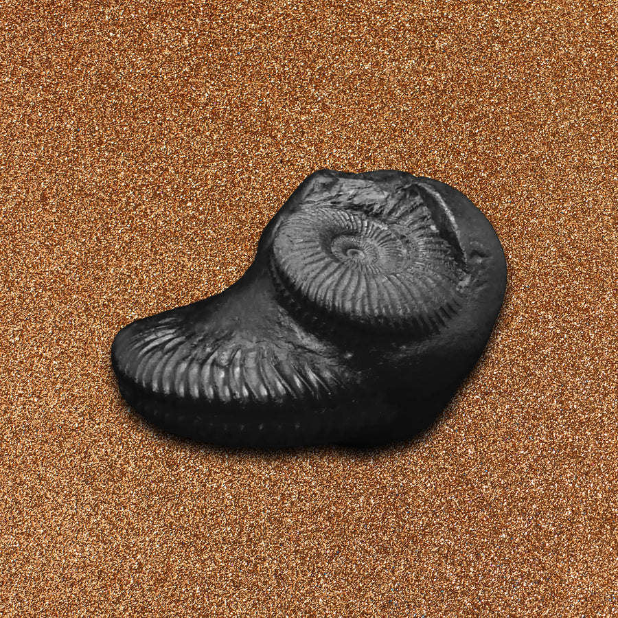 Shaligram