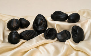 Vishnu Dashavatar Shaligrams