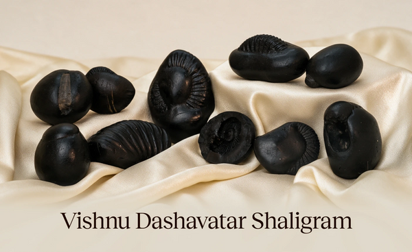Vishnu Dashavatar Shaligrams