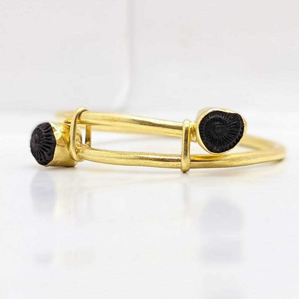 Vishnu Chakra Bracelet on Astha Dhatu