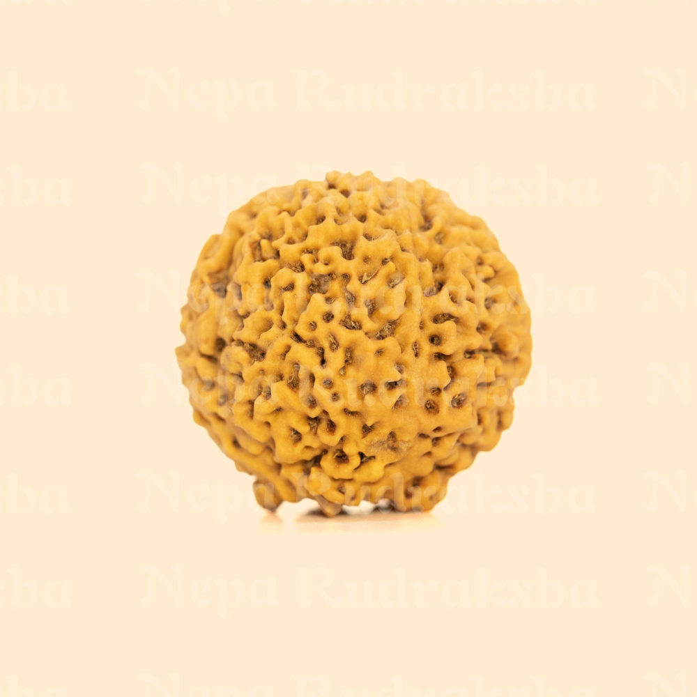 Nirakar (0 Mukhi) Round