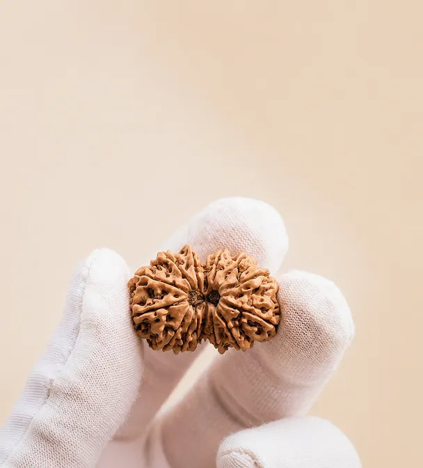Single Naturally-Drilled Hole