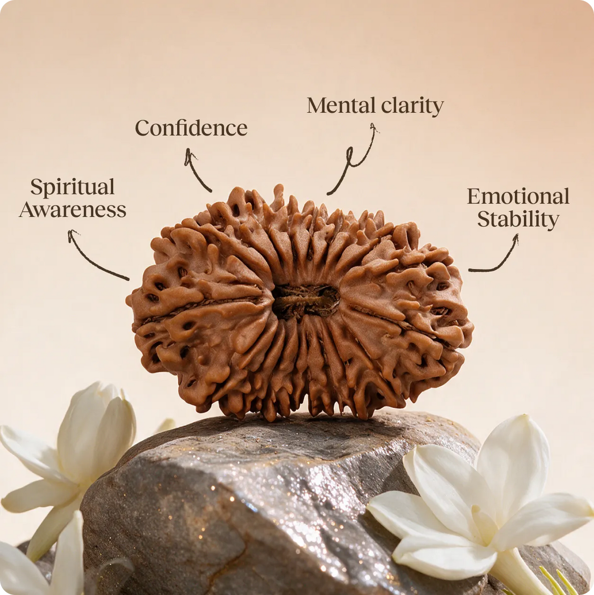 Benefits of Rudraksha: The Sacred Science