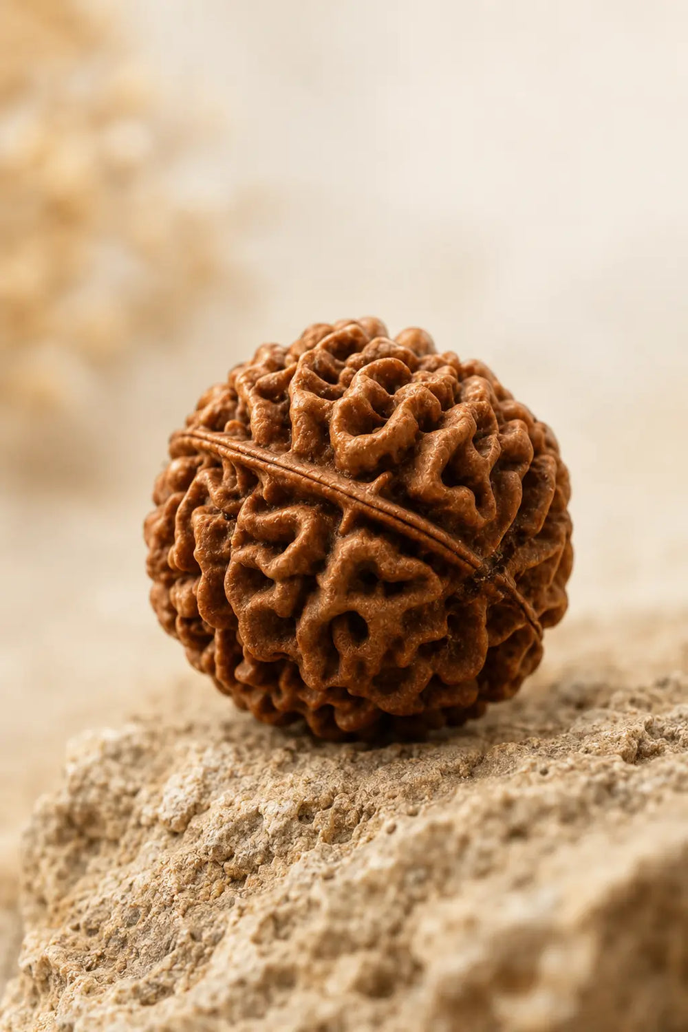 The mukhi