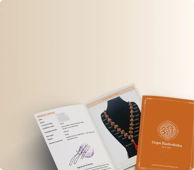 Rudraksha Wisdom Guide
