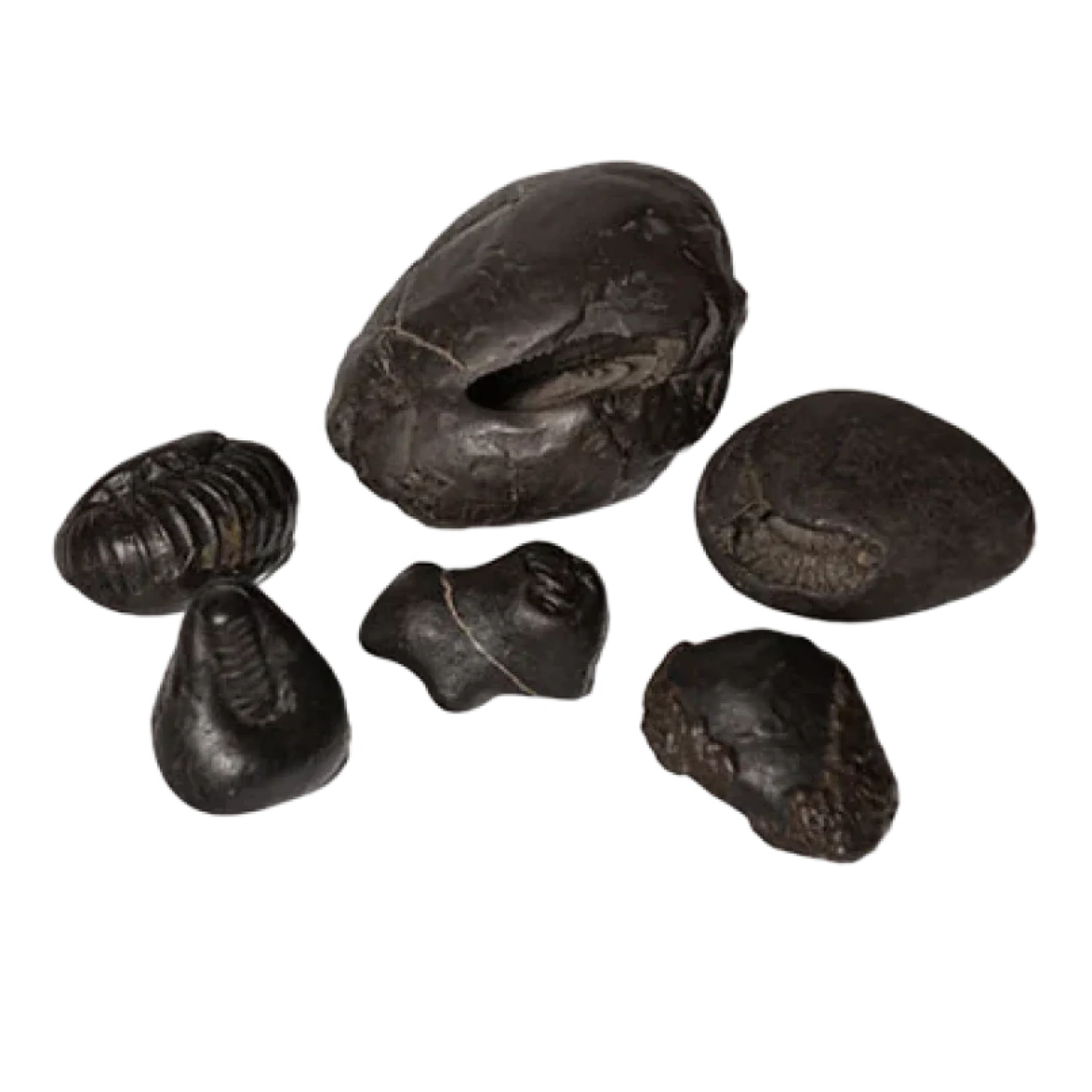 Dashavatar Shaligram Package