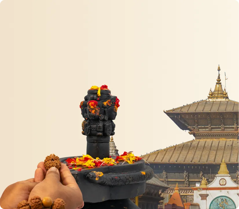 Nepa Vedic Energization