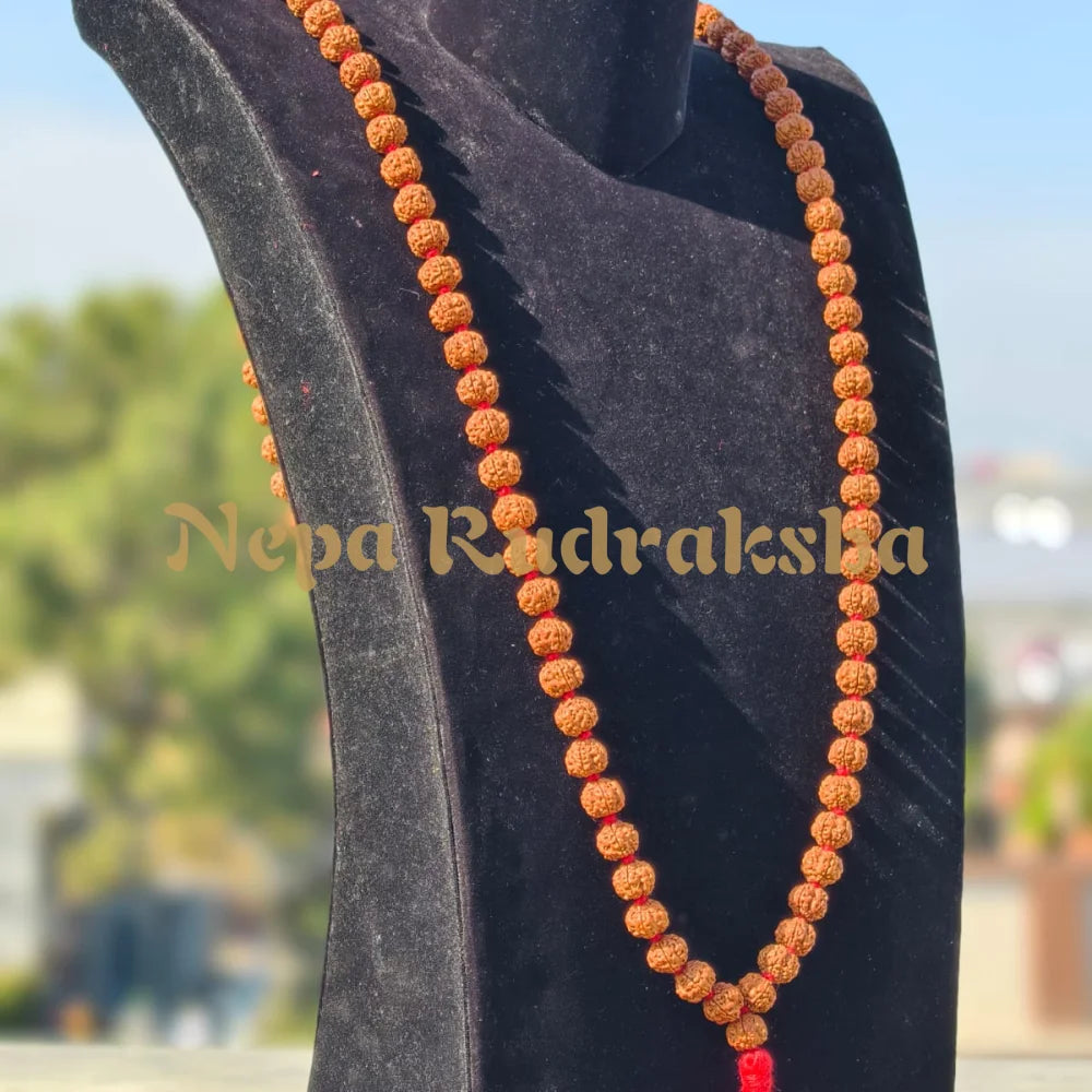 Exclusive 5 Mukhi Japa Mala (Indonesian)