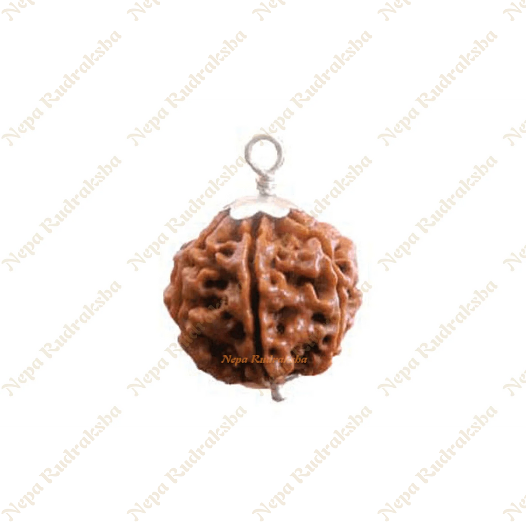 Five Mukhi (601RMS)