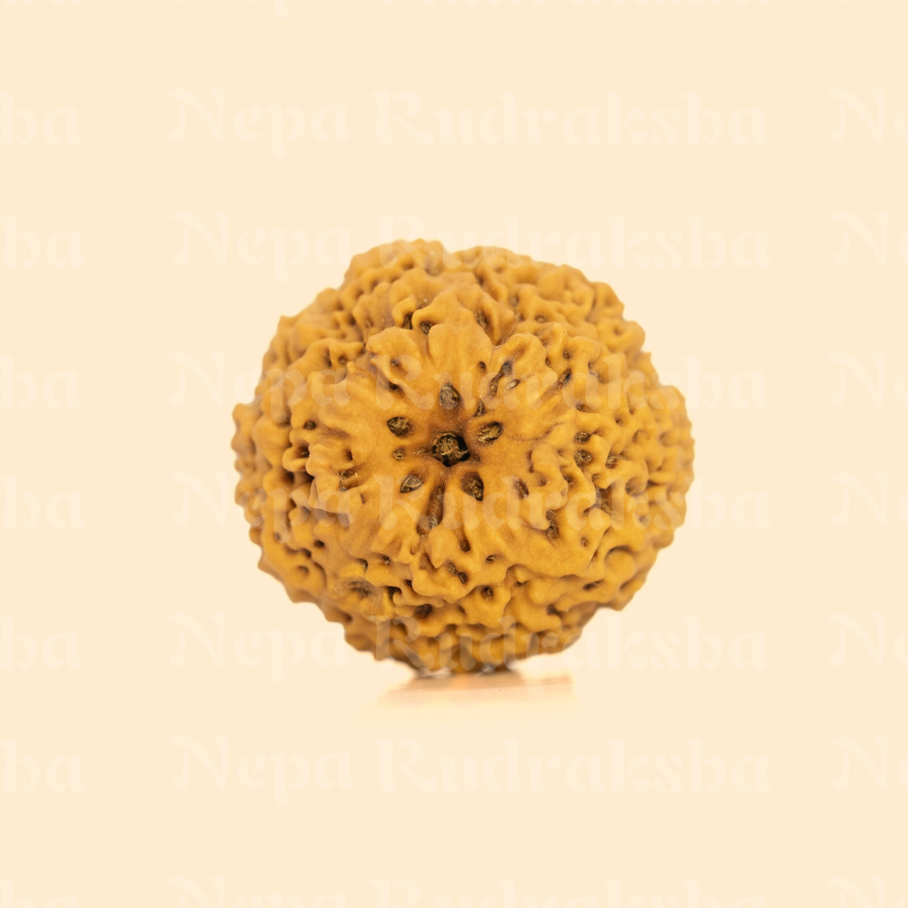 Nirakar (0 Mukhi) Round