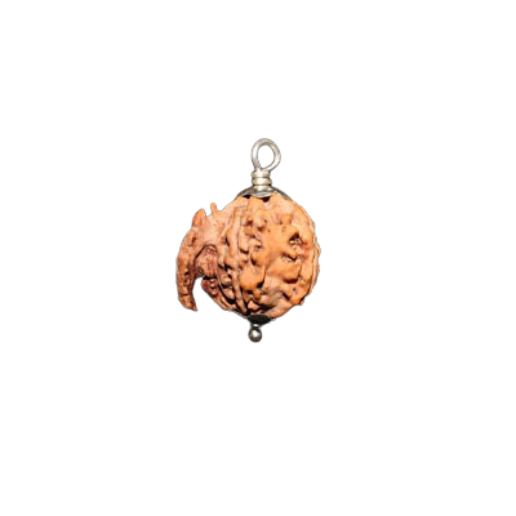 ganesh rudraksha