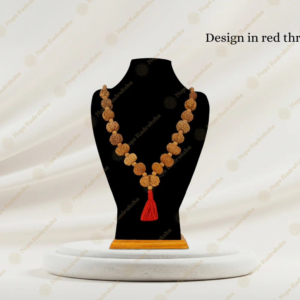 Regular / No One Mukhi / On Red Thread