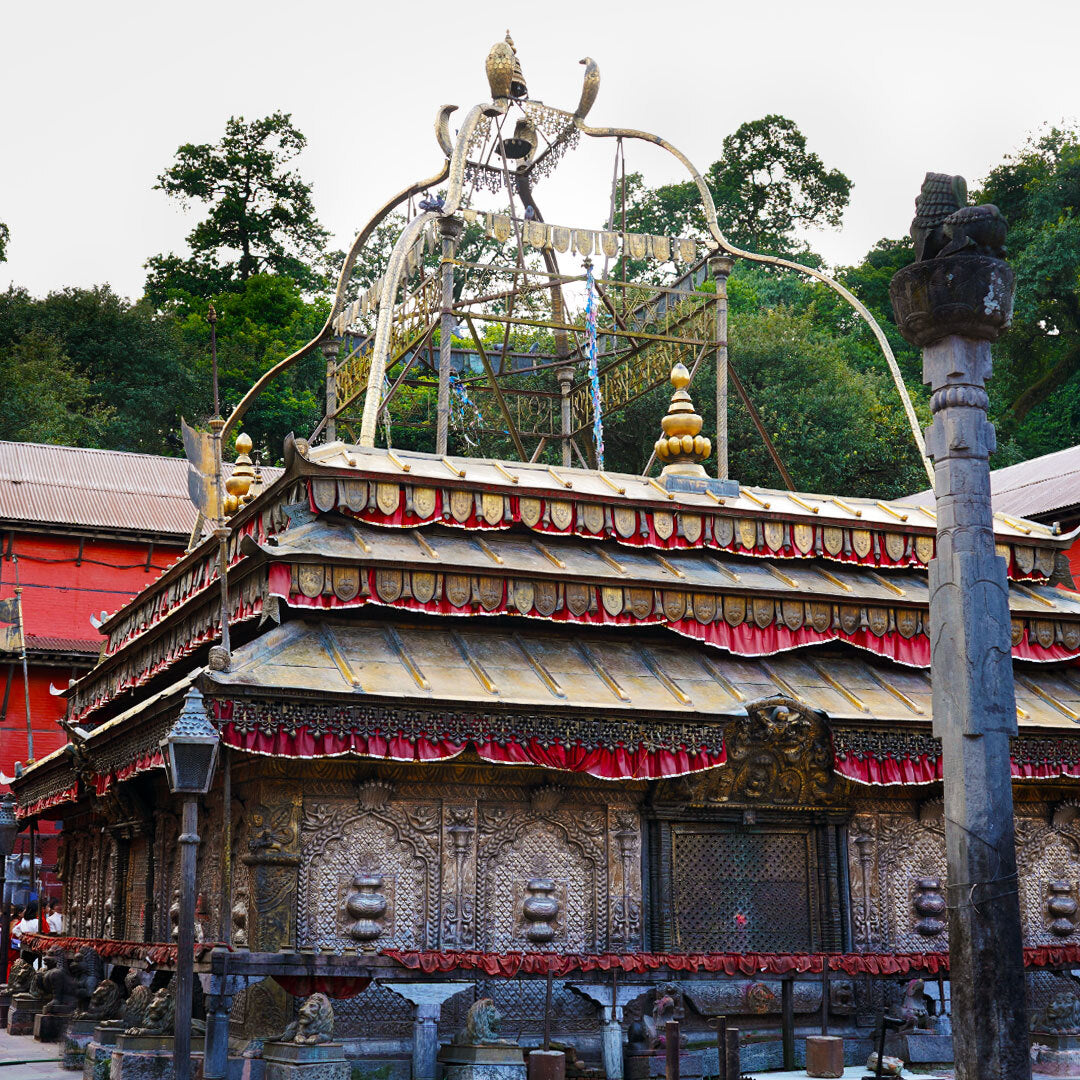 SHRI DURGA SAPTSHATI CHANDI PATH