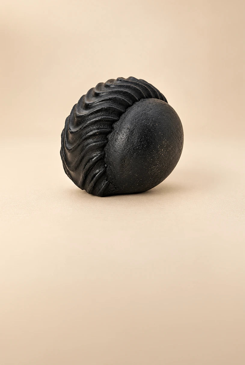 Lakshmi Shaligram